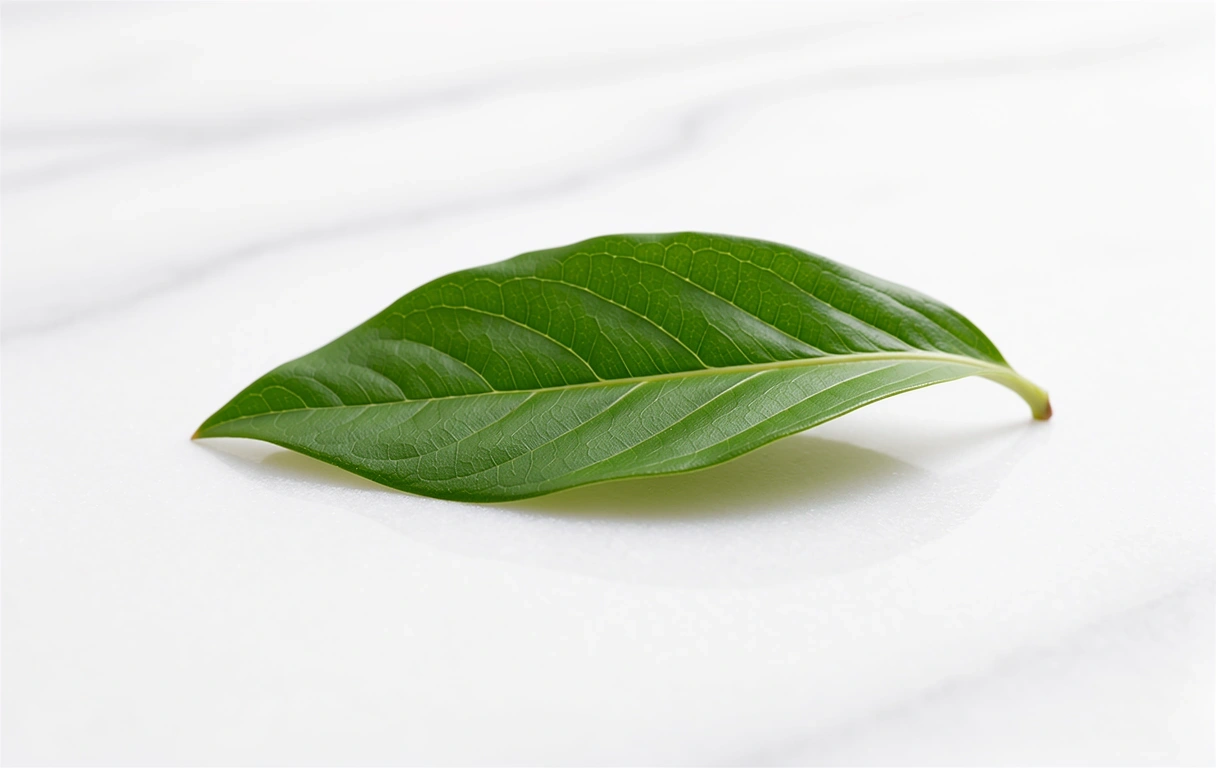 Símbolo de equilibrio Beamorc